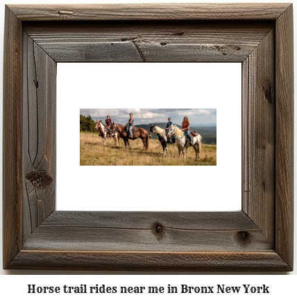 horse trail rides near me in Bronx, New York